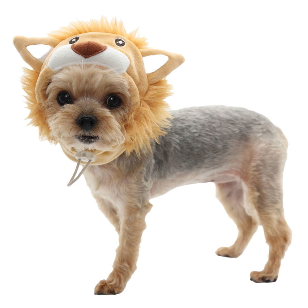 dogo